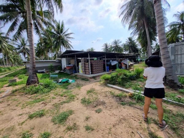 มูลนิธิคุณ- ก้อง สหรัถ – PCG และผองเพื่อน ร่วมช่วยเหลือ น้องสี่ขา ต่อเนื่อง - รูปที่ 4